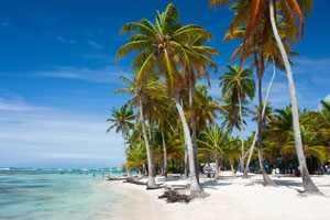 Strand auf Martinique
